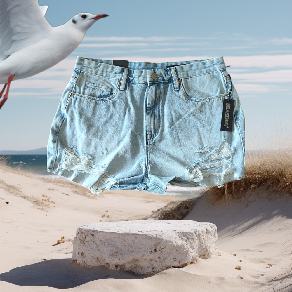 Blank NYC Light Blue Jean Shorts